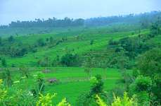 Bali Private Tour