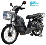 Electric bike TDL909KZ