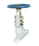 YType Pressure-in Seal Globe Valve