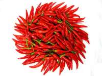 chilli pepper now available on a large scale for sale