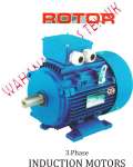 ROTOR - ELECTRIC MOTOR