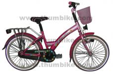 20 City bicycle for lady