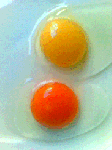 Telur arab/ kampung merah