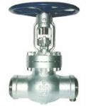 Globe Valve