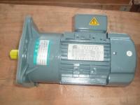 Electric Motor with Reduction Gear