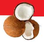 Kelapa Tua / Mature Coconut