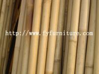tonkin bamboo canes