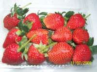 Jual Strawberry