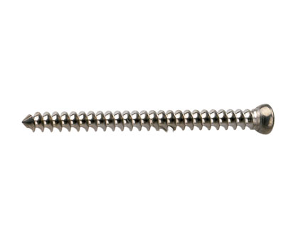 metal bone screw