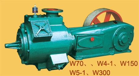 Reciprocating Vacuum pump(W5)