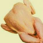 Fillet dada ayam dan Ayam boiler