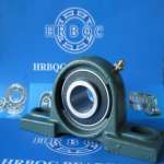 Pillow block bearing- Hollow Base