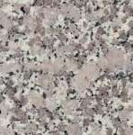 Pearl Grain Granite