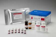 Nitrofurantoin ( AHD) ELISA Diagnostic Kit