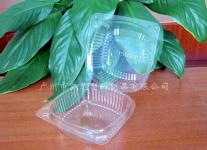 Plastic disposable food container/Fruit Clamshell