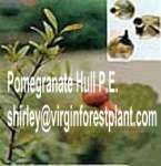 Pomegranate Hull P.E.