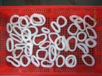 Squid rings( Todarodes Pacificus/ Skype: lilyliu0305)