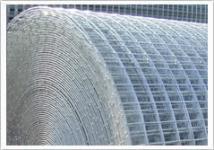 Welded Wire Mesh(Roll)