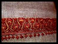 cashmere pure pashmina shawls