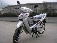 SELL 110CC,  100CC CUB MOTORCYCLE( VS110-9)