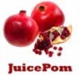 supply pomegranate juice concentrate organic & non organic