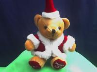 Bear natal