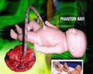 MODEL PHANTOM BAYI