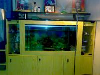 Lemari Aquarium