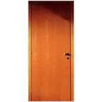 Fire-proof Wood DOOR-6193