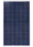 Polycrystalline( 156-60 series) Solar Module / Solar Panel
