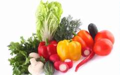 Sayur dan Buah Organik