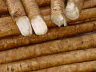 Burdock Root Extract