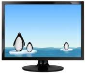 22 inch TFT LCD Monitor 220GS