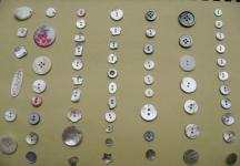 shell  buttons
