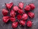 Rosella Merah (bubuk/Kering)