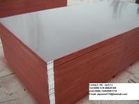 brown film faced plywood