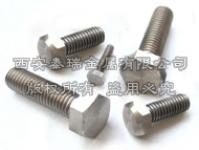 Titanium Flange Head Bolt