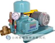 Greatech Roots Blower and Vacuum Pump