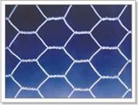 Hexagonal Wire Mesh