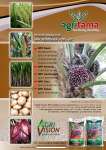 Pupuk Majemuk NPK Plus Soil Conditioner