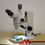 NIKON SMZ 745T Biological Microscope