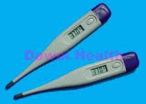 digital thermometer