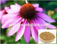 Echinacea Extract Polyphenol,  chicoric acid