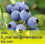 Bilberry Extract( China & European)