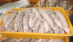 Skipjack Tuna Loins