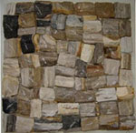 mozaic fosil wood