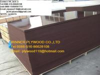 shuttering plywood ( concrete formwork)