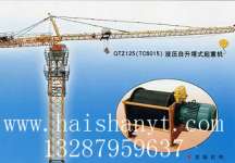 Supply QTZ125twoer crane