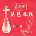 Chinese Lute (pipa) String Set