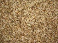 kernel cashew nuts ( kacang mente )